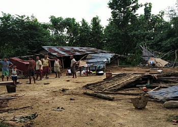 কৃষ্ণাইত বনৰীয়া হাতীৰ উপদ্ৰৱ; নিশা সাতটা পৰিয়ালৰ বাসগৃহ লণ্ডভণ্ড