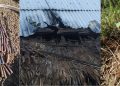 NSCN-K(YA) attacks Assam Rifles camp in Mon, 3 including 1 jawan hurt