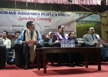 Nagaland Indigenous People’s Forum