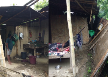 Nagrijuli story