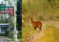 Orang National Park