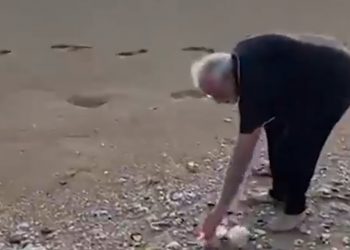 PM
