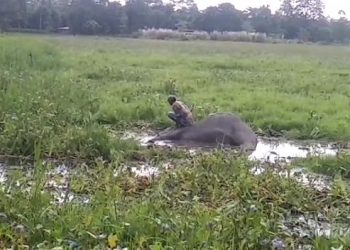 VideoCapture_20191029-165550