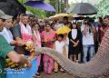 Wildlife week