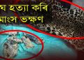 গোলাঘাট আৰক্ষীৰ জালত কেইবাজনো বাঘখোৱা মানুহ