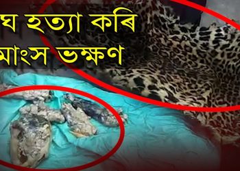 গোলাঘাট আৰক্ষীৰ জালত কেইবাজনো বাঘখোৱা মানুহ