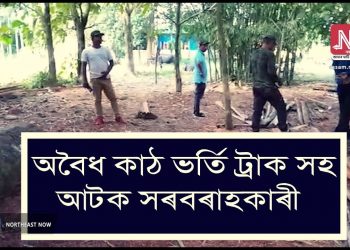 কোকৰাঝাৰ আৰু চিৰাঙত চোৰাং কাঠ সৰবৰাহকাৰীৰ বিৰুদ্ধে অভিযান; জব্দ মূল্যবান গছৰ কুন্দাসহ বাহন