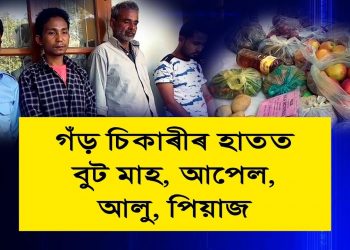 গঁড় হত্যা যাত্ৰা ভংগ চোৰাং চিকাৰীৰ, মণিপুৰৰ শ্বাৰ্প শ্বুটাৰসহ জালত ৪ ||পুনৰ বিশ্বনাথত