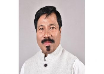 Minister Atul Bora on unnatural death of pig in Assam