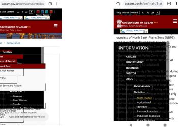 Govt website