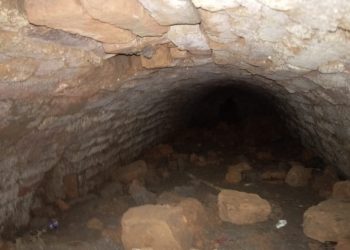 Tunnel unearthed at Nazira in Assam's Sivasagar