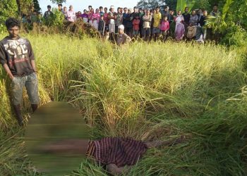 জাগুনত খাদ্যৰ সন্ধানত অহা বনৰীয়া হাতীৰ আক্ৰমণত এজন নিহত