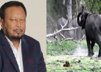 Padma Hazarika