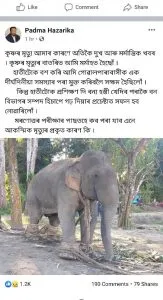 Padma Hazarika Facebook