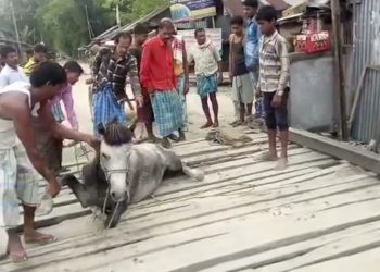 Bongaigaon.