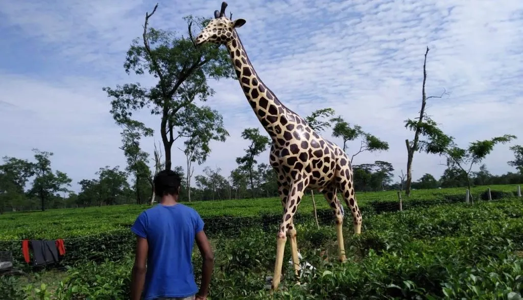 নুমলীগড়ত হাতী খেদাৰ অভিনৱ কৌশল; বৃহৎ আকাৰৰ জিৰাফ দেখি হাতীয়ে সলালে নিজৰ পথ