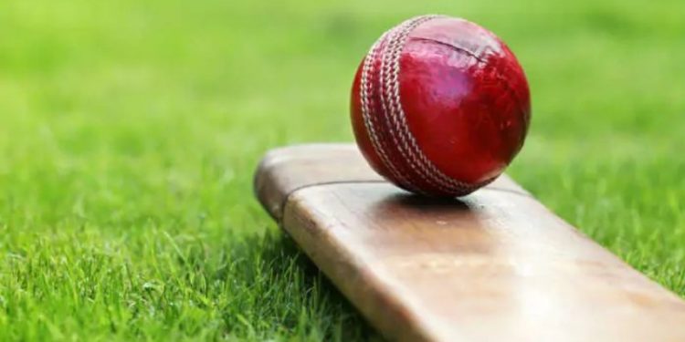 cricket-ball-bat নতুন