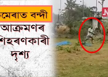 হোজাইত অবৈধ কাঠফলা মিলৰ মালিকৰ আক্ৰমণত আহত বনৰক্ষী আৰু আৰক্ষী জোৱান
