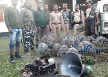 BIrds Caught by loudspeaker