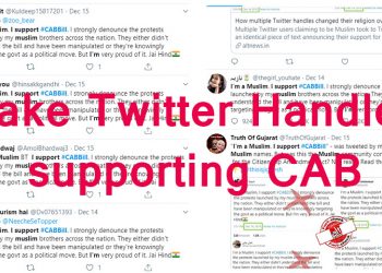 Fake Twitter accounts supporting CAB