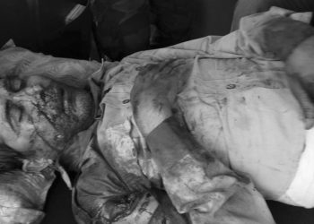 কাজিৰঙাৰ অগৰাতলি বনাঞ্চলত ভালুকৰ আক্ৰমণত বনকৰ্মী আহত; গুৱাহাটীলৈ প্ৰেৰণ