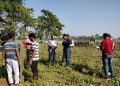 মাজুলী সাংস্কৃতিক বিশ্ববিদ্যালয়ৰ বাবে ১০০ বিঘা মাটিৰ দখলীস্বত্ব হস্তান্তৰ