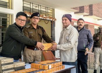 torch light distribution