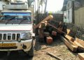 বোকাখাতত পিক আপ ভানৰে সৈতে বৃহৎ পৰিমাণৰ চোৰাং কাঠ জব্দ