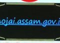 হোজাই জিলাৰ ৱেবছাইট মুকলি