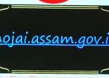 হোজাই জিলাৰ ৱেবছাইট মুকলি