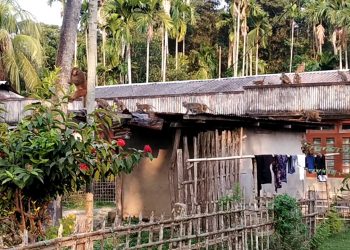 পুৰণিগুদামত বান্দৰৰ উপদ্ৰৱ; কৃষকে কেঁচাতে কাটিবলৈ বাধ্য হৈছে ধান