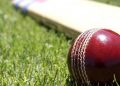 cricket_web