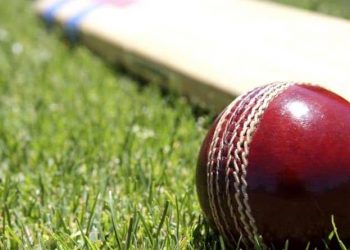 cricket_web