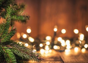 Spruce Tree branch on Wood Background