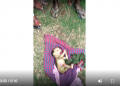 Assam's "demon baby'' story fake, says Altnews