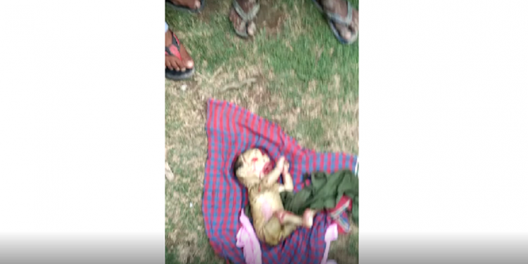 Assam's "demon baby'' story fake, says Altnews