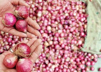Onions