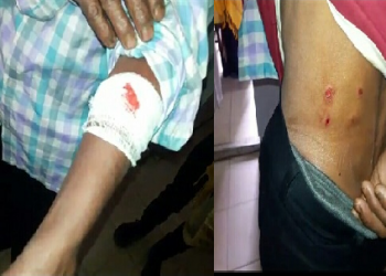 Tiger attack story