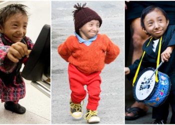 WORLDS-SHORTEST-MAN-COLLAGE-1 copy_tcm25-606517