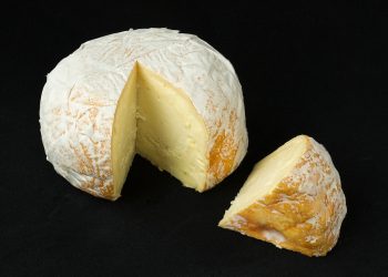Cheese is beneficial in weight loss