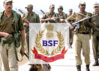 BSF-tradesman-696x346