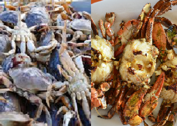 Crabs