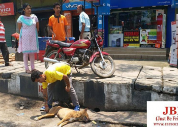 Guwahati-based JBF observes world spay day