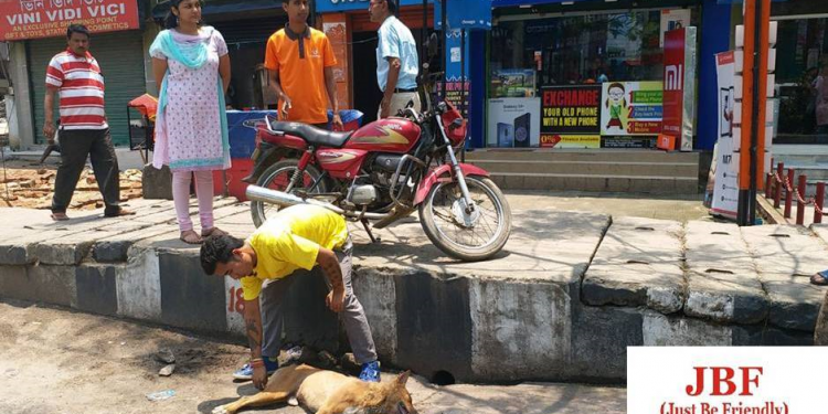 Guwahati-based JBF observes world spay day
