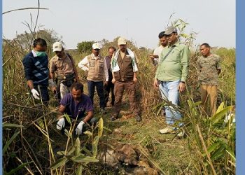 Kaziranga Story