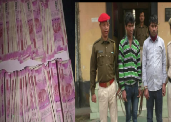 Kamalpur Story