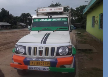 Picup Van