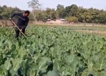খেতিত ধৰি বহুজনৰ বাবে আদৰ্শৰ বাট দেখুৱাইছে এইগৰাকী অসমীয়া যুৱকে