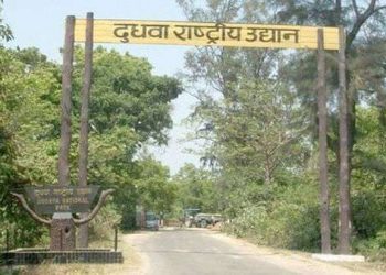 Uttar Pradesh Story