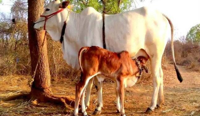 সৌজন্য-- India Today